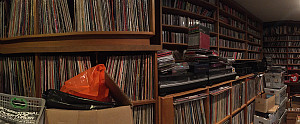 My senior project aims to explore these questions through a history of the analog, through different vignettes of the record collecting p...