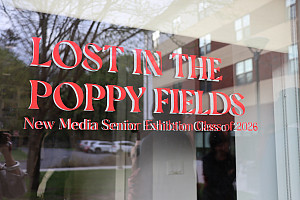 Lost in the Poppy Fields in red type on window of Passage Gallery