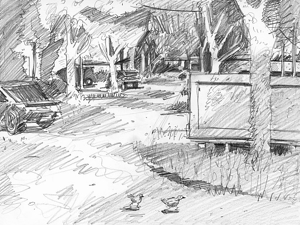 Ferro sketch