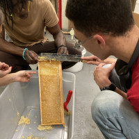 Students use a comb knife to remove the caps from honey frames