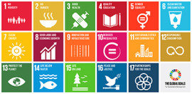 UN 2030 Sustainable Development Goals (SDGs)