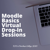 Moodle Basics Virtual Drop-In Sessions