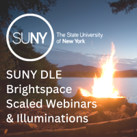 SUNY DLE Scaled Webinars & Illuminations