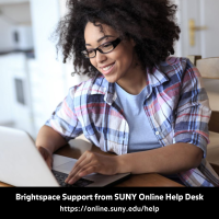 young woman working on a laptop computer