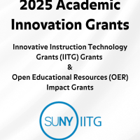 SUNY Academic Innovation Grants Programs