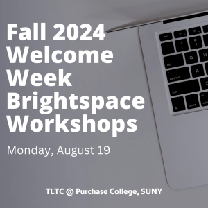 image of a computer keyboard with white text that reads Fall 2204 Welcome Week Brightpsace Workshops, Monday, August 19
