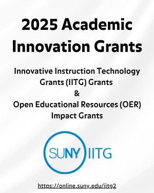 SUNY Academic Innovation Grants Programs