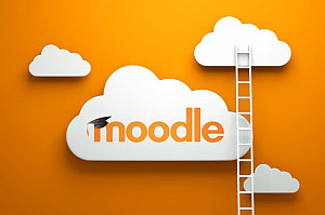 Moodle logo with ladder and clouds