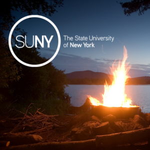 SUNY DLE Fireside Chat