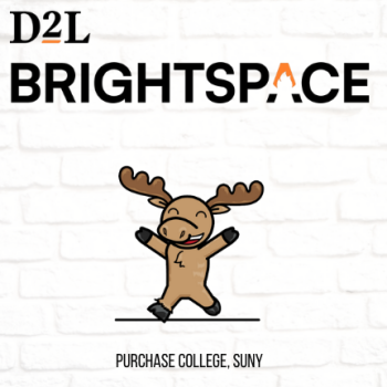 D2L Brightspace logo & moose