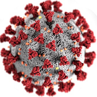 Workshop Holding Class Online In Zoom Teaching Learning And