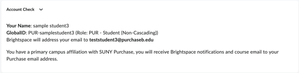 screenshot of the Account Check widget for a Sample Student in Brightspace