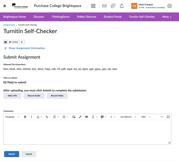 screenshot of the Turnitin Self-Checker activity in Brightspace