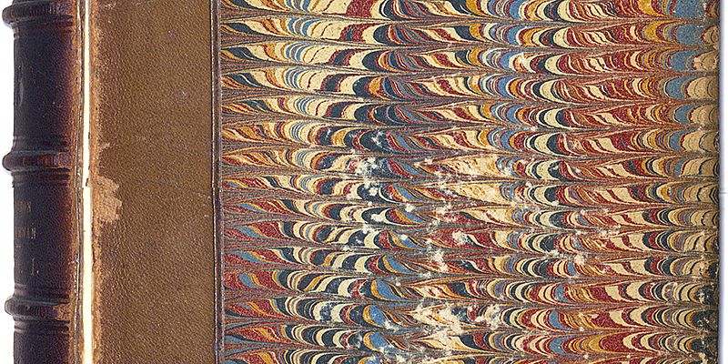 Developing Digital Collections • Library • Purchase College