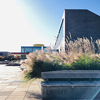 Library bench with library building in the background.