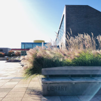 Library bench with library building in the background.