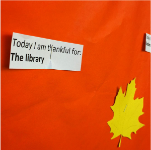 Today I am thankful for the Library