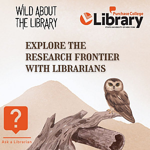 Desert owl sitting on a driftwood branch near the Ask a Librarian logo. Text reads wild about the library. Explore the research frontier wi