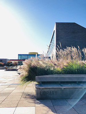 Library bench with library building in the background.