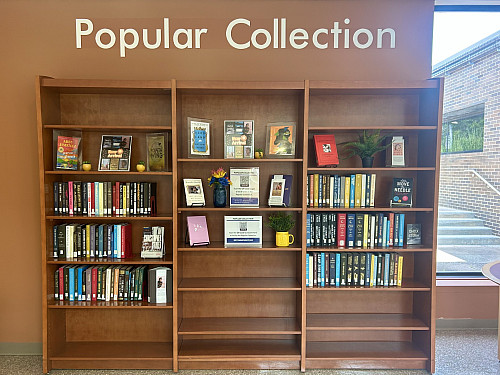 Novels on the popular collection shelves near a window