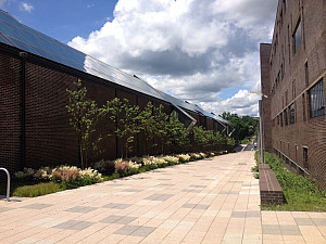 Pathway