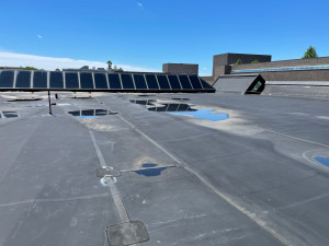 View of Existing Dance Building Roof