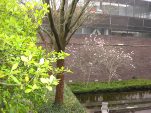 Visual Arts Building prior to renovation