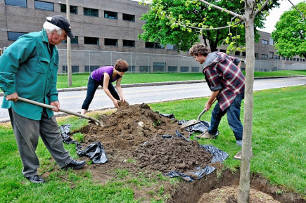 Planting a tree on Clean and Green Day 2012