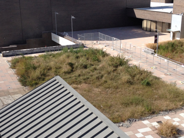 View of future Entry Pavilion courtyard being prepared for excavation.