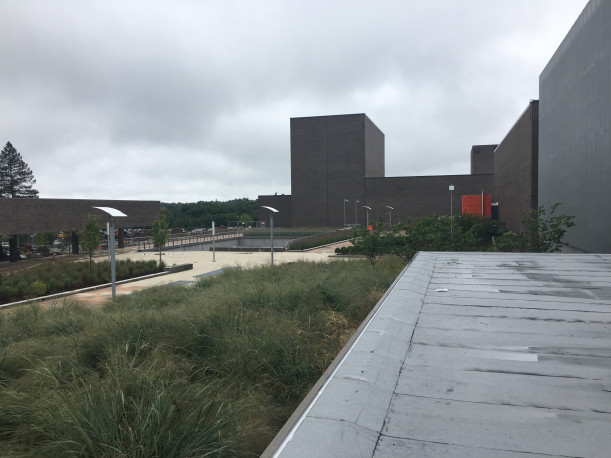 View of Bookstore roof looking west.