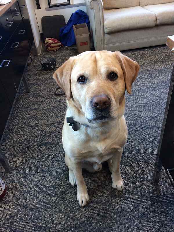 Paul Nicholson • Educational Opportunity Program/Merit Access Program • Purchase College