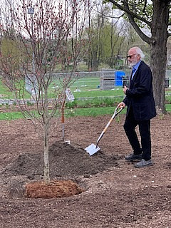 Tree Planting